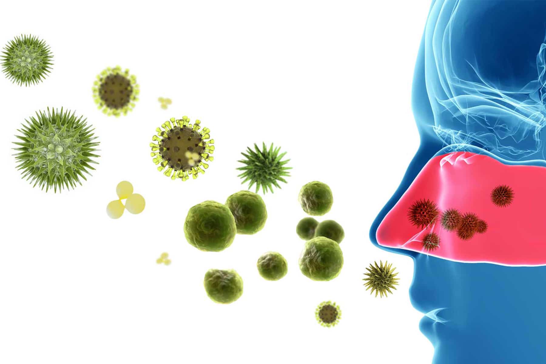 Ratgeber – Pollenallergie Luftreiniger Airpura
